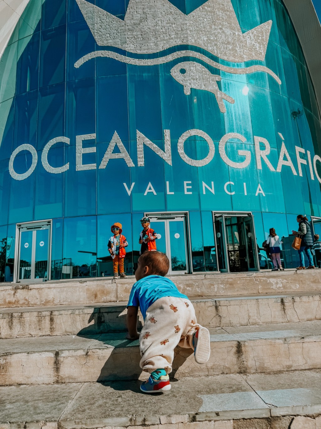 Valencia’s Oceanogràfic: Like Finding Nemo on&nbsp;Steroids