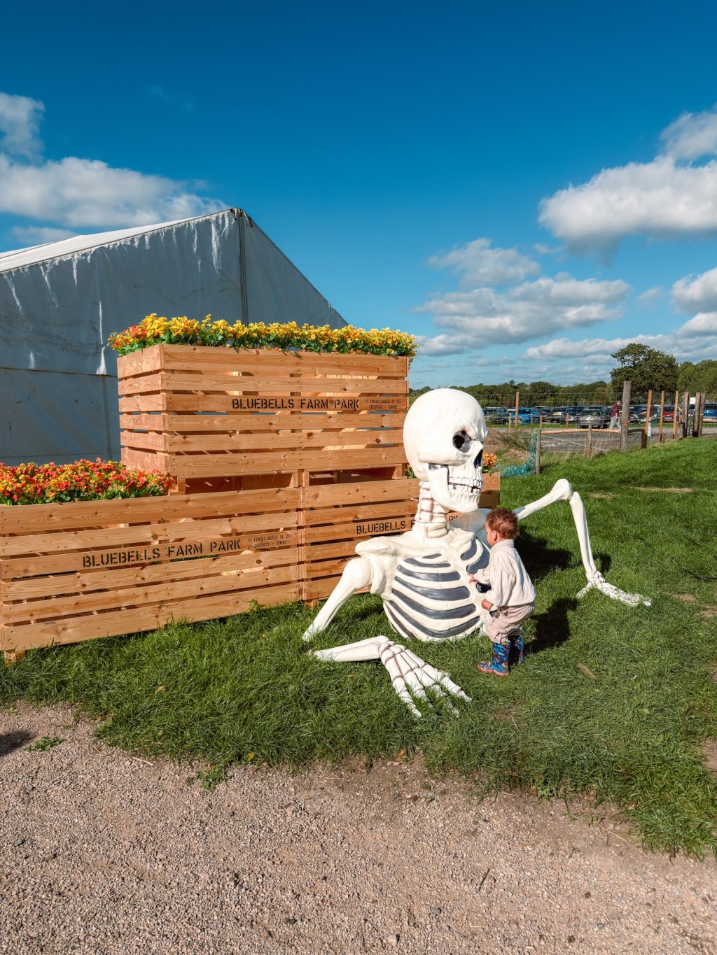 Bluebell Dairy Pumpkin Village Derby Review 2026: Is It Worth It With&nbsp;Kids?